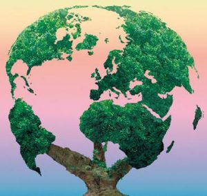 éducation à l'environnement